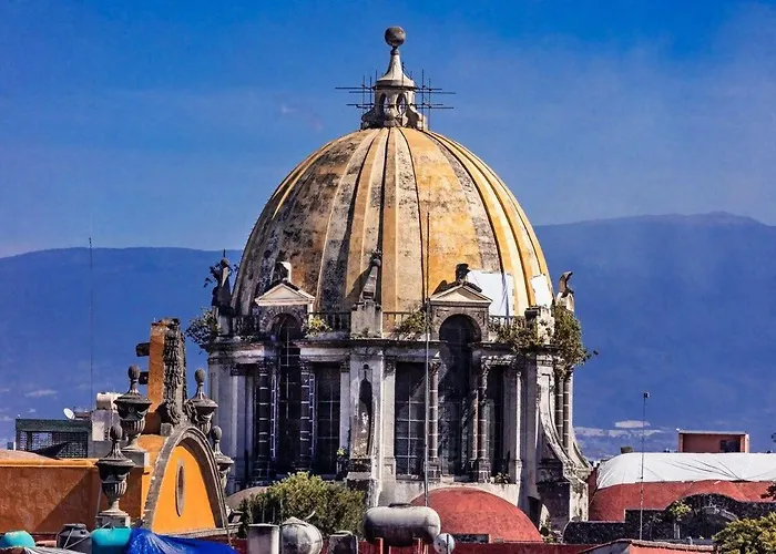 Guau Camina Al Zócalo Rooftop, Vigilancia * México DF