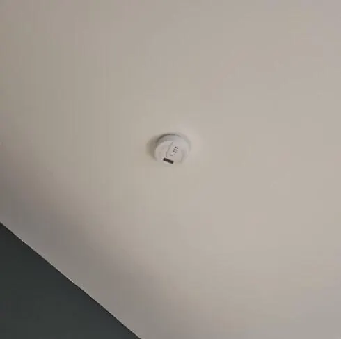 Apartamento Guau Camina Al Zócalo Rooftop, Vigilancia *