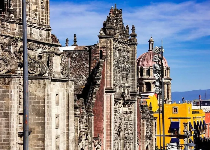 Guau Camina Al Zócalo Rooftop, Vigilancia México DF