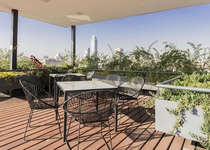 Guau Camina Al Zócalo Rooftop, Vigilancia México DF